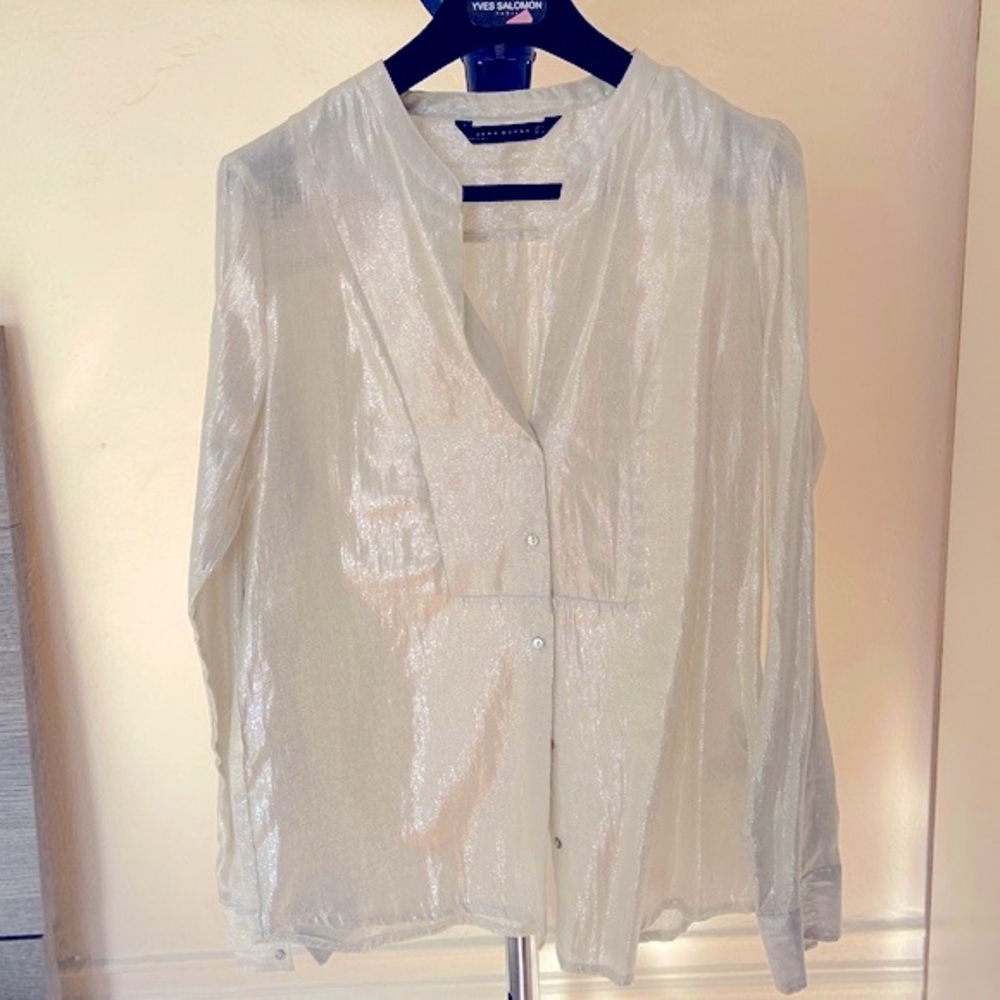 Zara Shimmer Shirt/blouse
